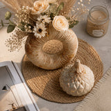 Rustic Beige Ceramic Vase Set with Matching Storage Jar